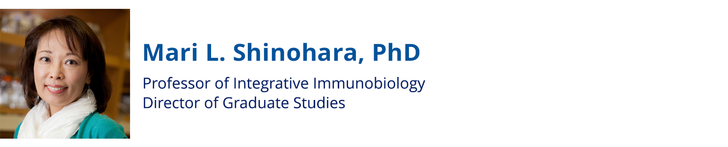 Mari L. Shinohara, PhD, Professor of Integrative Immunobiology, Director of Graduate Studies