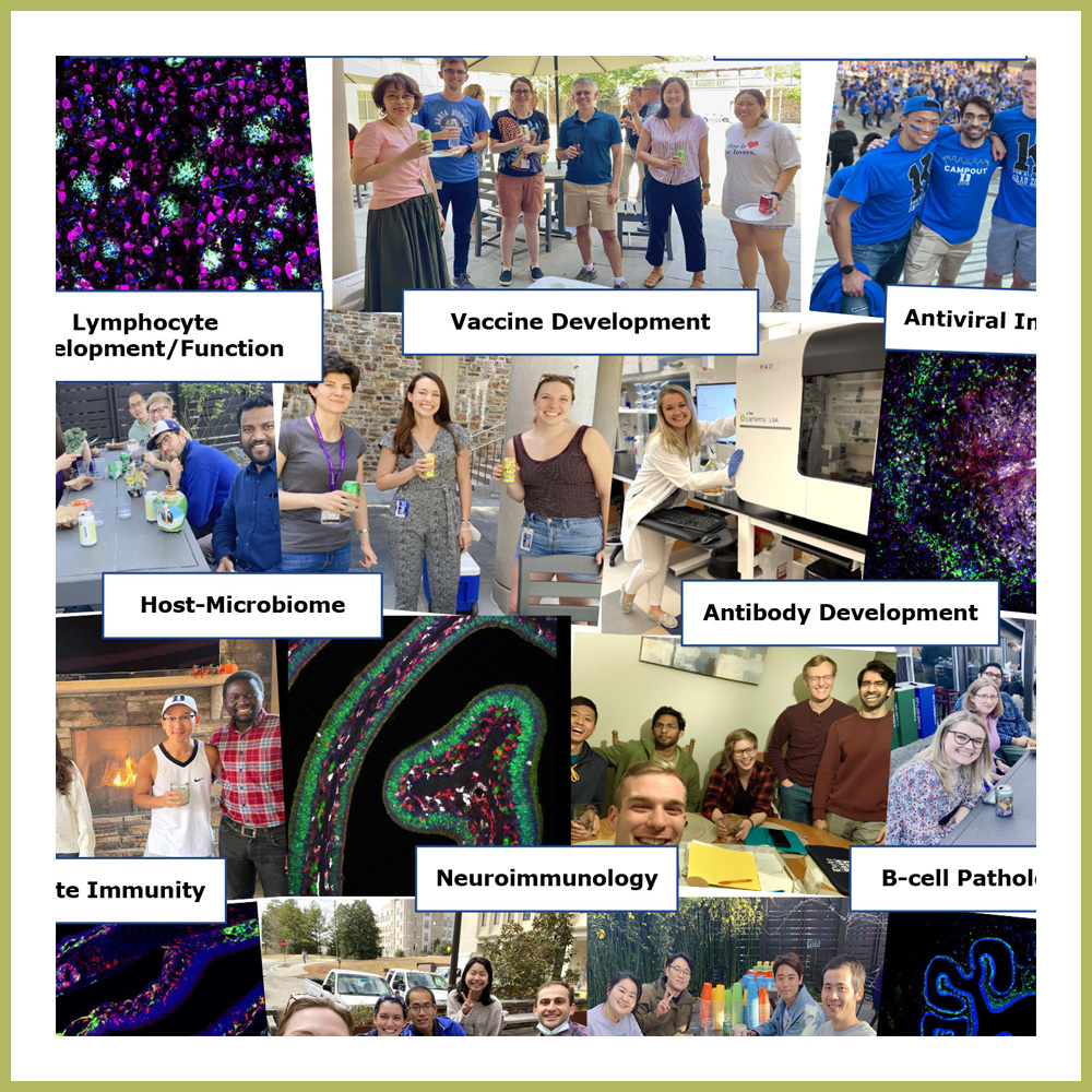 Immunology Department Poster Thumbnail