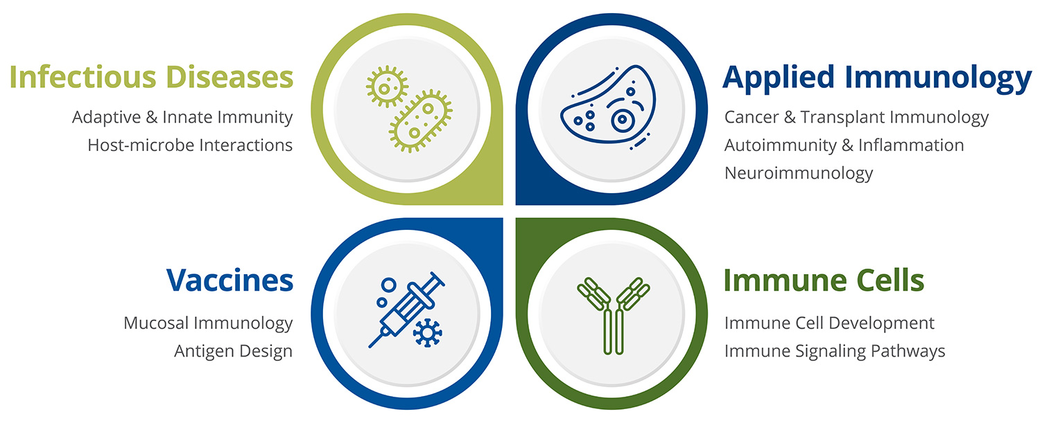 Infectious Diseases includes Adaptive & Innate Immunity, and Host-microbe Interactions. Applied Immunology includes Cancer & Transplant Immunology, Autoimmunity & Inflammation and Neuroimmunology. Vaccines includes Mucosal Immunology and Antigen Design. Immune cells includes Immune Cell Development and Immune Signaling Pathways.