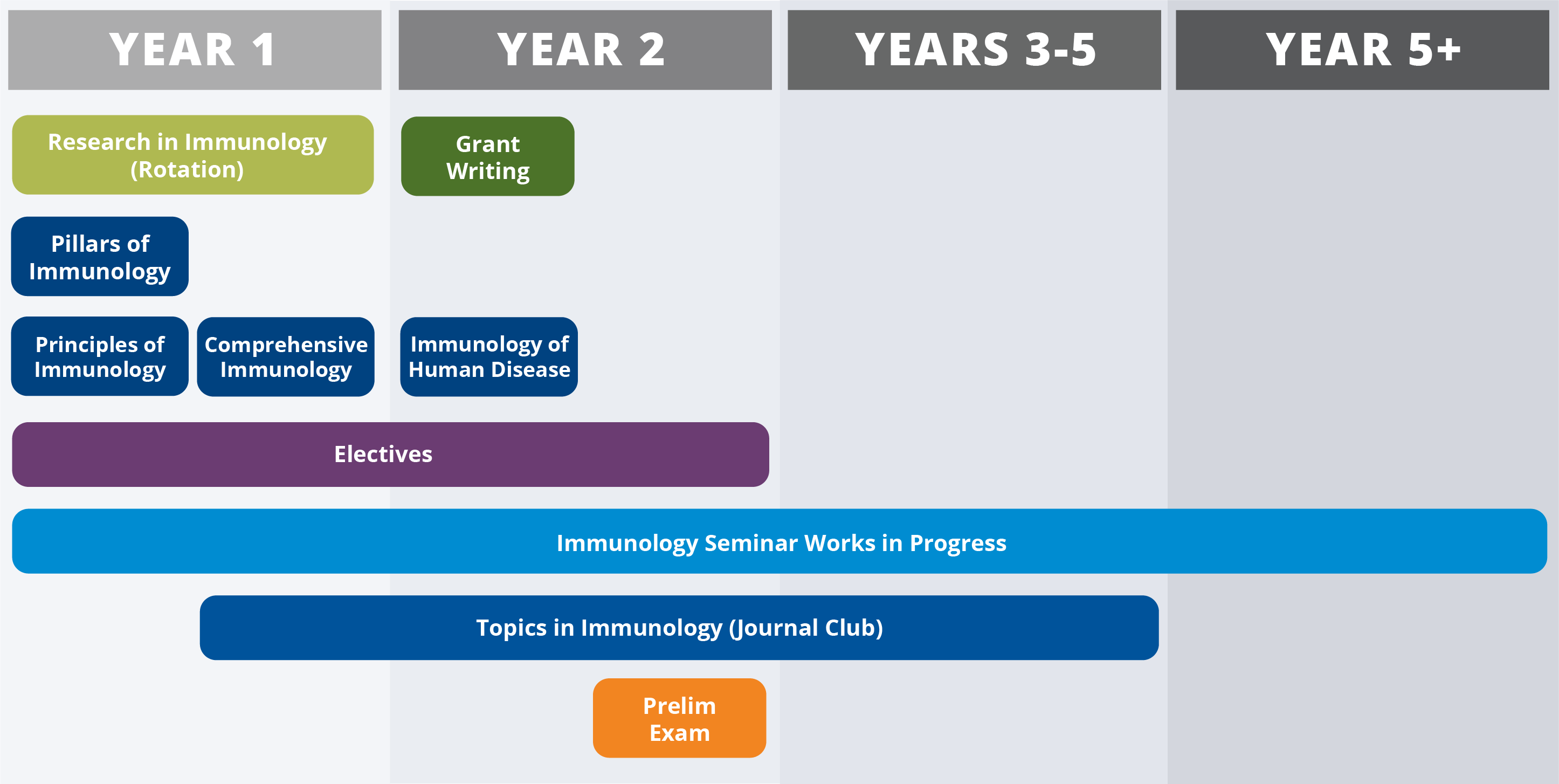 Diagram showing the timing of required coursework for the PhD program