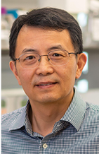 Ru Rong Ji, PhD