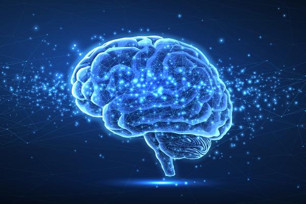 Graphic of a translucent brain rendered in shades of blue
