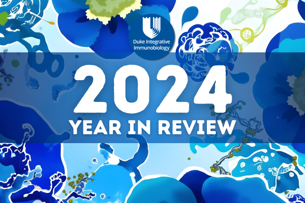 IIB 2024 Year in Review