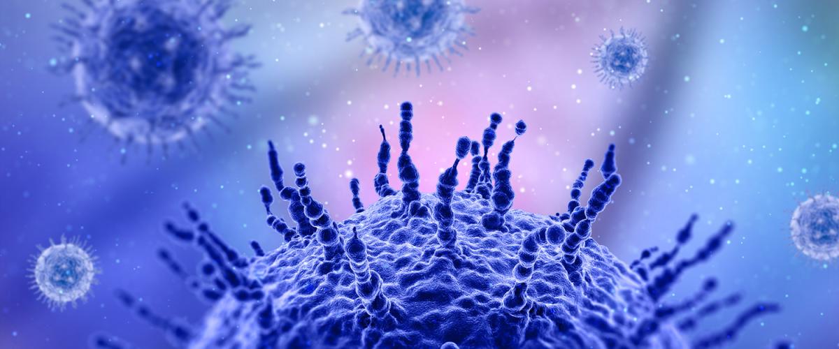 Virus Cells