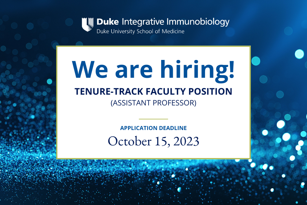 We are hiring tenure track faculty position