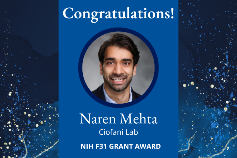 Naren Mehta NIH grant