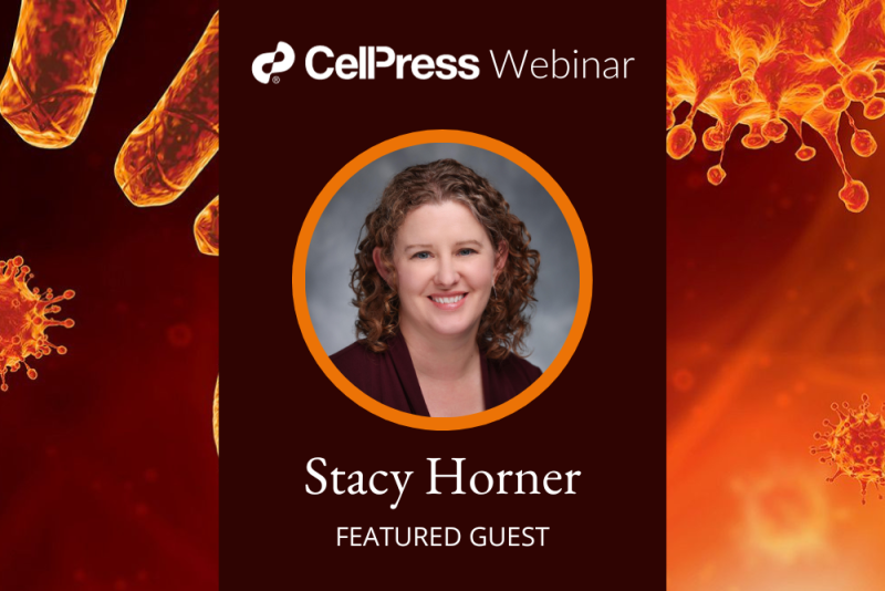 Stacy Horner webinar