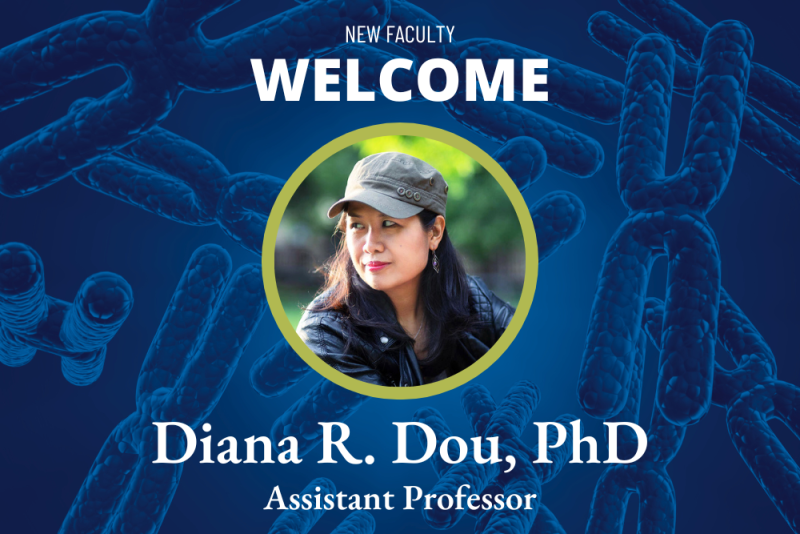 Diana R. Dou, PhD