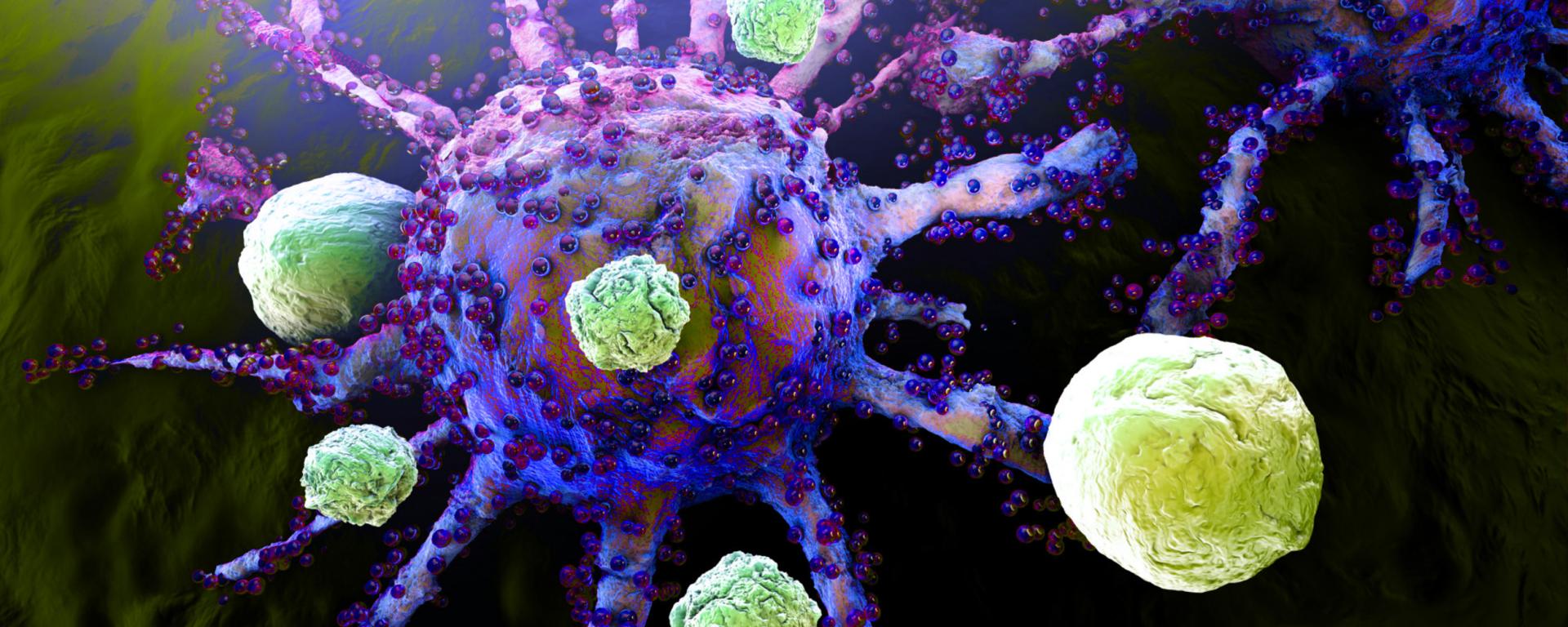 Tumor being attacked