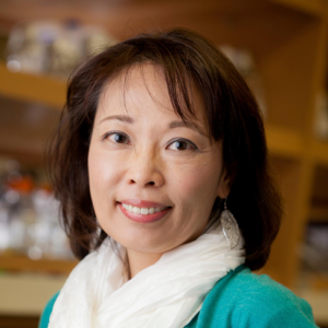 Mari Shinohara, PhD