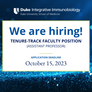 We are hiring tenure track faculty position
