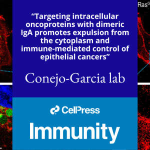 Conejo-Garcia in Immunity journal
