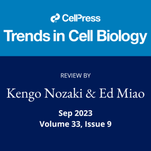 Ed Miao published in Trends in Cell Biology