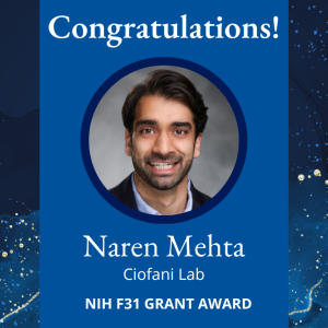 Naren Mehta NIH grant