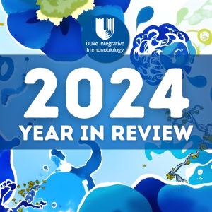 IIB 2024 Year in Review