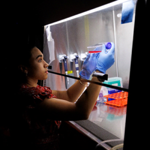 Gabriella Torres, Graduate Student 