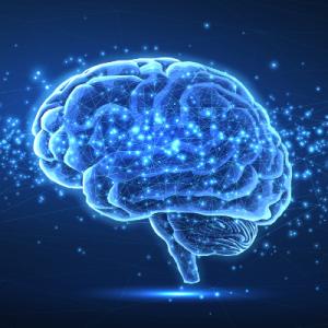 Graphic of a translucent brain rendered in shades of blue